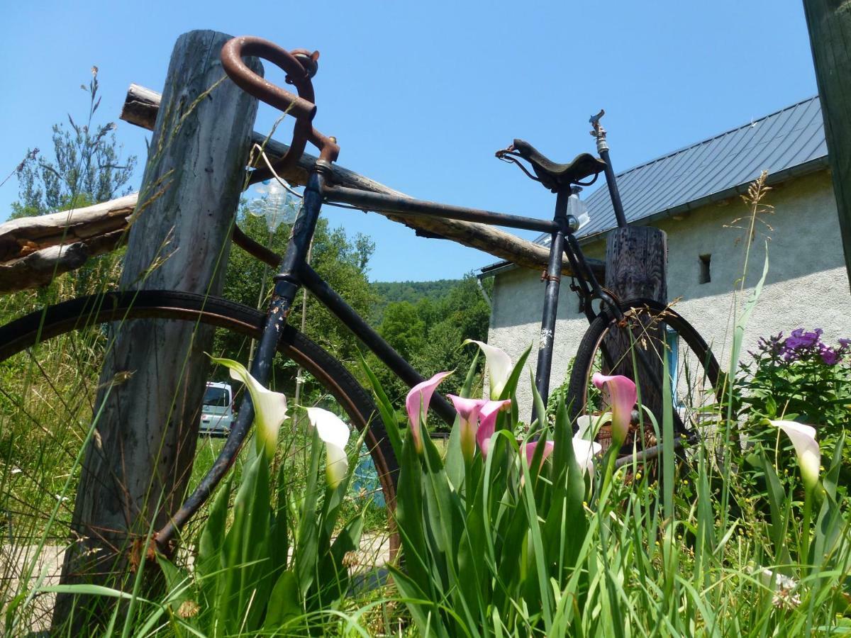 Les Deux Velos Chambres D'Hotes-Table D'Hotes Biert ภายนอก รูปภาพ